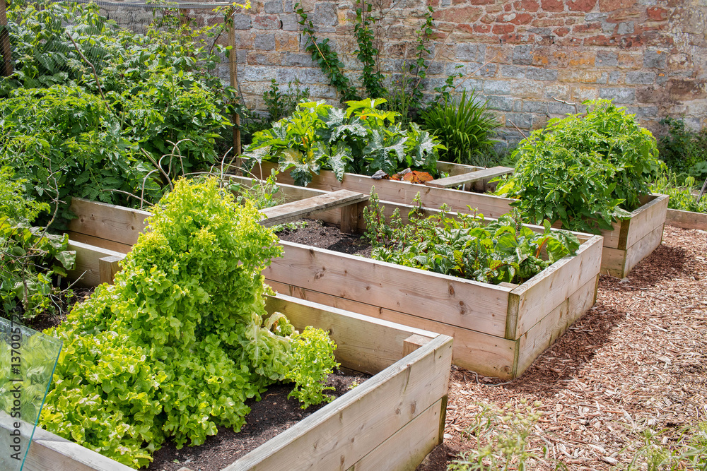 Rustic Raised Bed Vegetable & Flower Garden Rustic Raised Bed Vegetable & Flower Garden