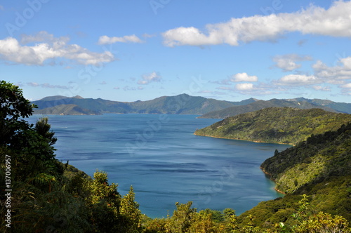 View from the Queen Charlotte Track  New Zealand