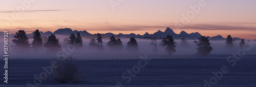 Misty Winter Morning in Island Park, Idaho photo