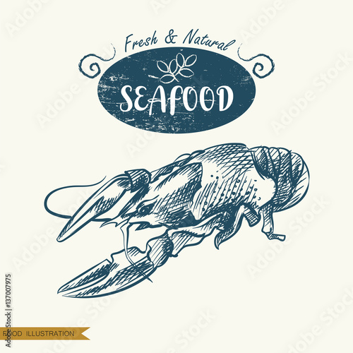 Hand drawn lobster isolated on white background. Seafood elements sketch. Oysters vector illustrator. Retro style