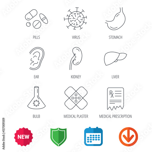Pills, medical plaster and prescription icons. Virus, stomach and liver linear signs. Ear, kidney and lab bublb icons. New tag, shield and calendar web icons. Download arrow. Vector