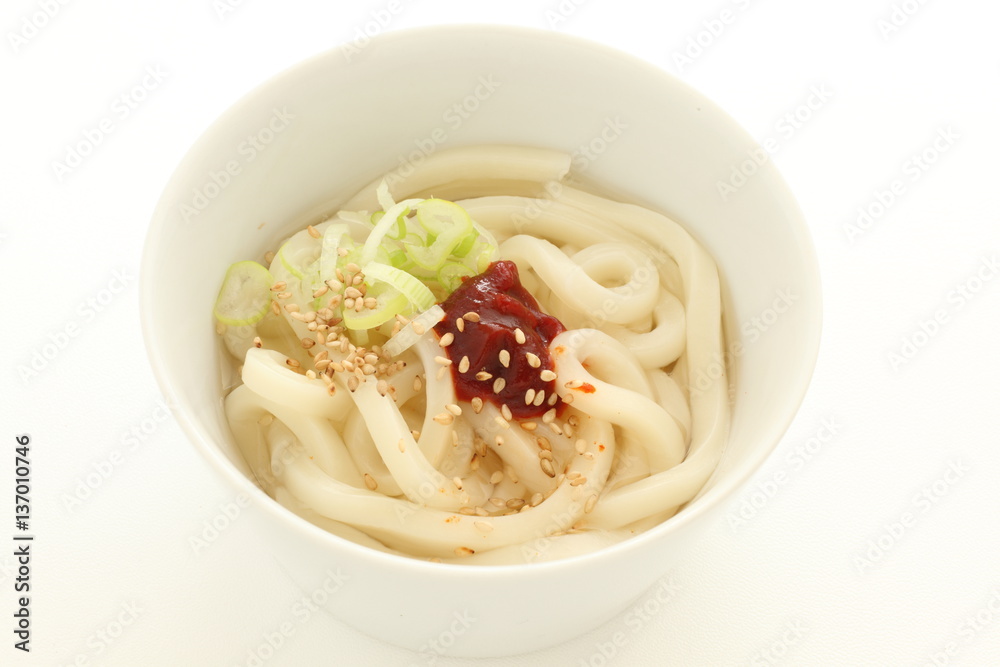 Japanese udon with spicy sauce