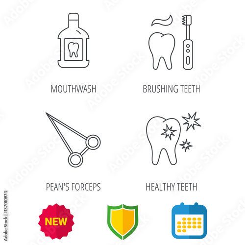Mouthwash, healthy teeth and peans forceps icons. Brushing teeth linear sign. Shield protection, calendar and new tag web icons. Vector