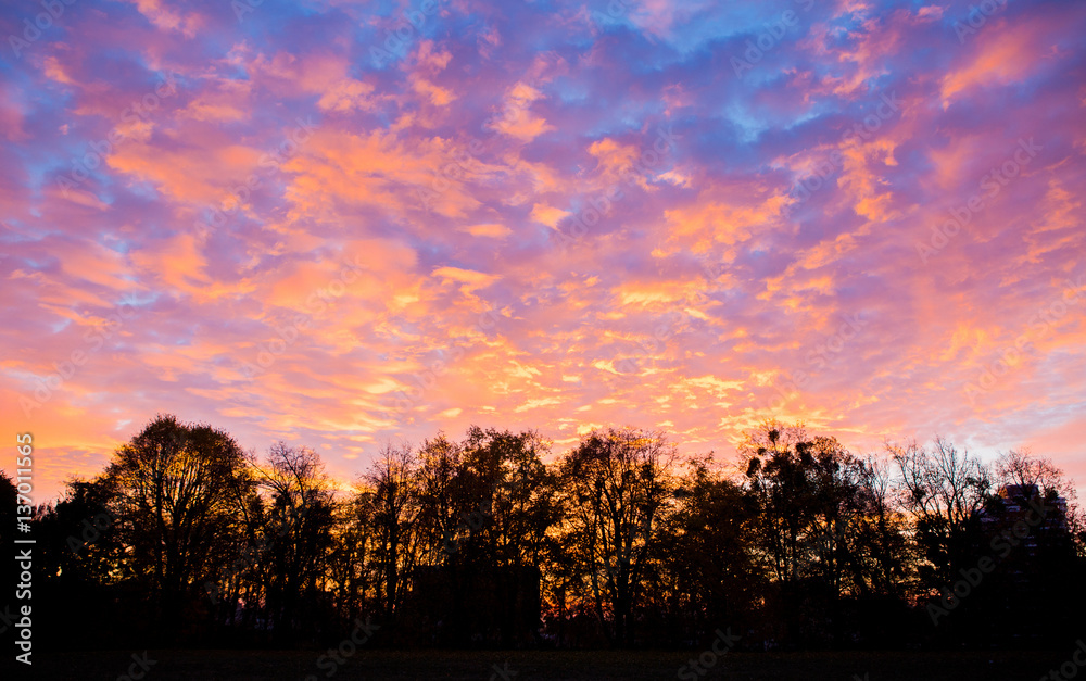 Fototapeta premium Zachód słońca niebo i drzewa