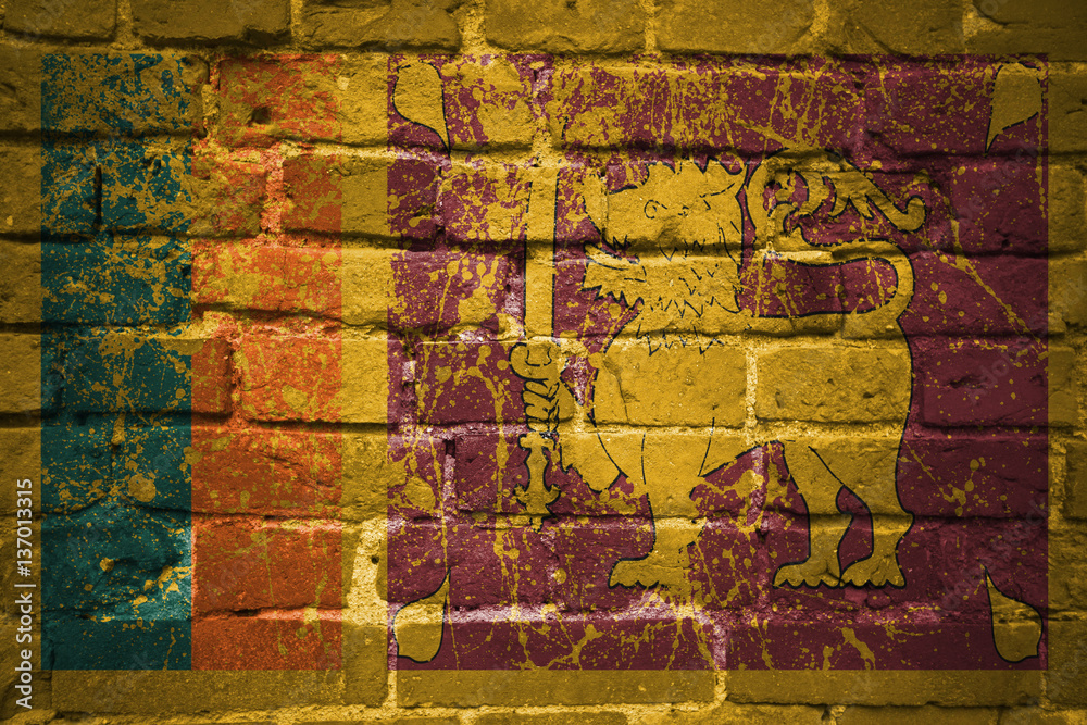 Fototapeta premium painted national flag of sri lanka on a brick wall