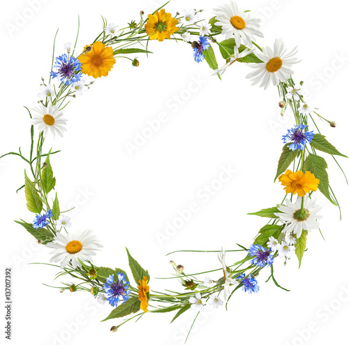 Circle frame from spring flowers without shadow