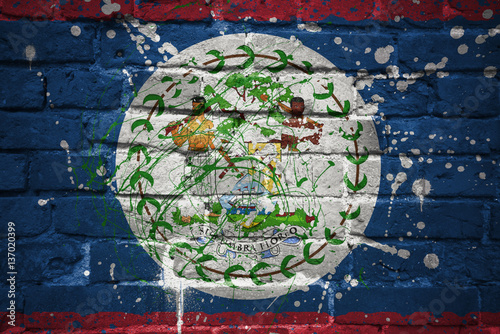 painted national flag of belize on a brick wall photo