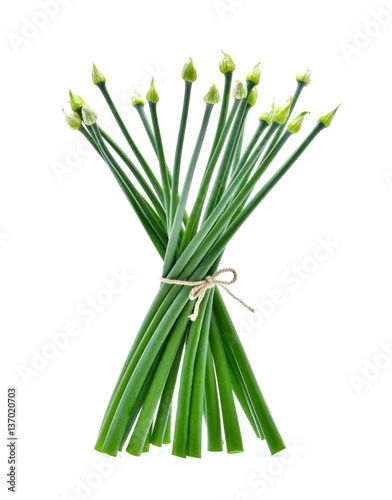 Chives flower or Chinese chive isolated on white background