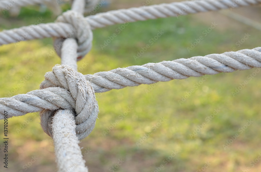 Rope knot line tied together with nature background,as a symbol for trust, teamwork or collaboration. Rope knot line tied together with nature background,as a symbol for trust, teamwork or collaboration.