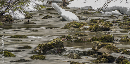 Biely creek with stones and clean water photo