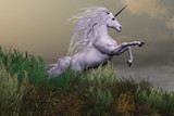 White Unicorn on Mountain - A white unicorn stallion rears up with power and majesty on a hilltop of a mountain range.