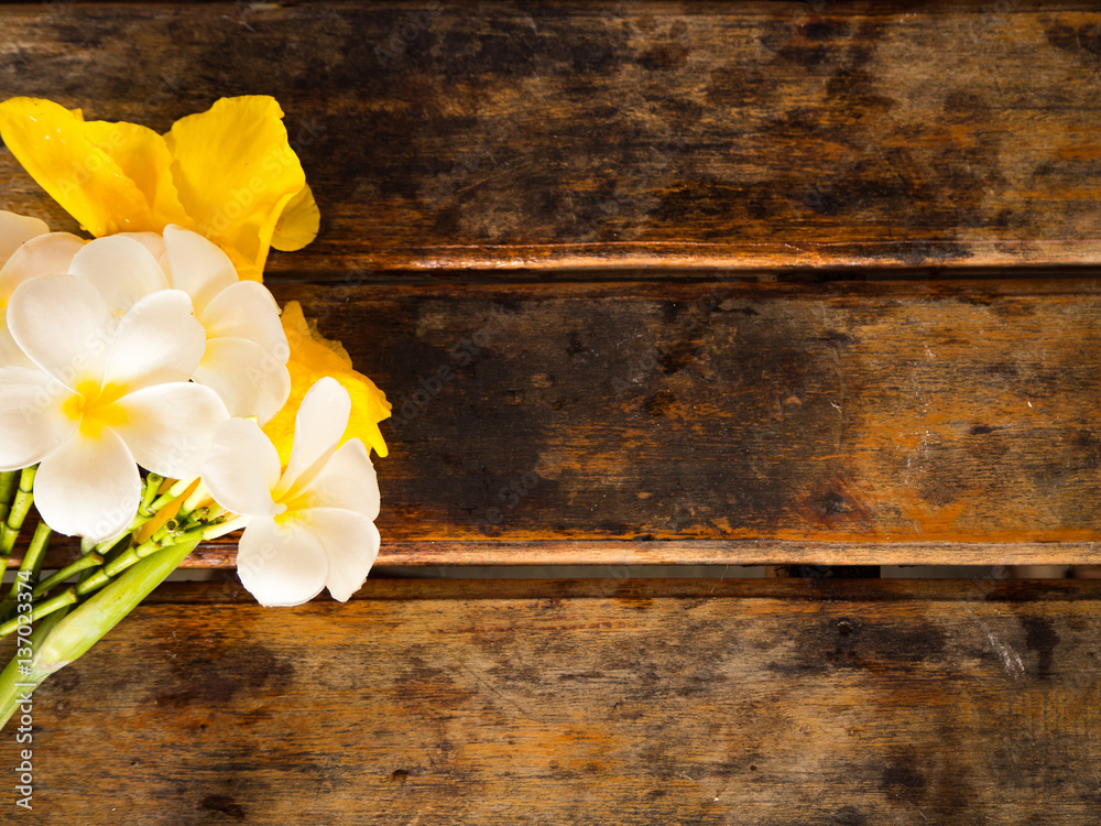 Yellow Canna and Plumeria flower on wooden background Yellow Canna and Plumeria flower on wooden background