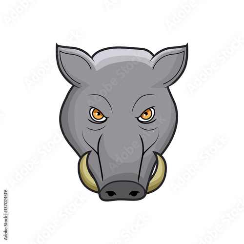 wild boar head