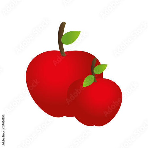 colorful set collection apple fruits vector illustration