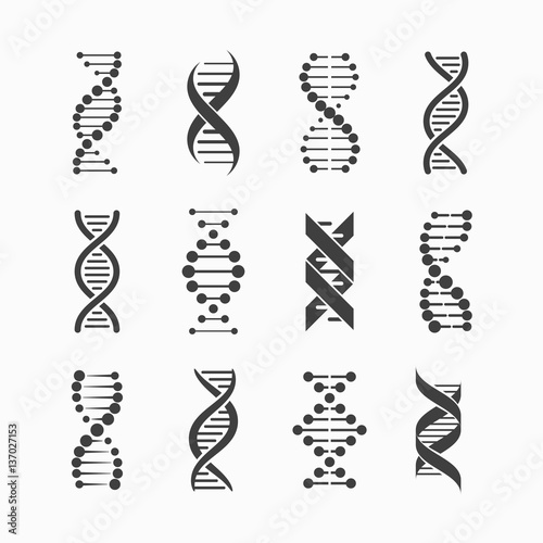 DNA icons set  photo