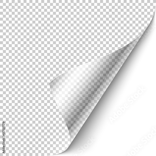 Curled corner design elemen...