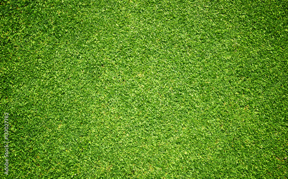 grass background Golf Courses green - obrazy, fototapety, plakaty 