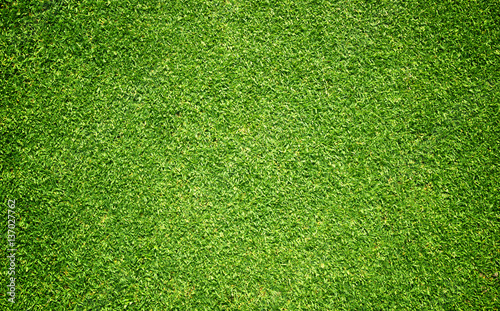 Fototapeta trawa tło Pola golfowe zielone