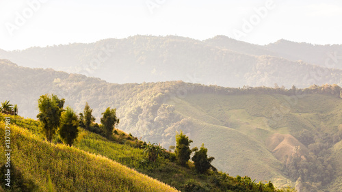 Layers of mountain and misty, north of Thailand.