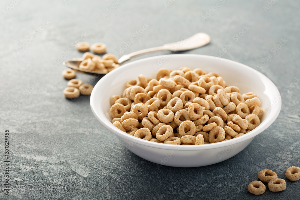 Healthy cold cereal in a white bowl Healthy cold cereal in a white bowl