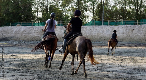 Horses riding and traning