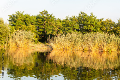 Εκτύπωση καμβά Reflection in the `Holt` Koros River near Szarvas in Hungary