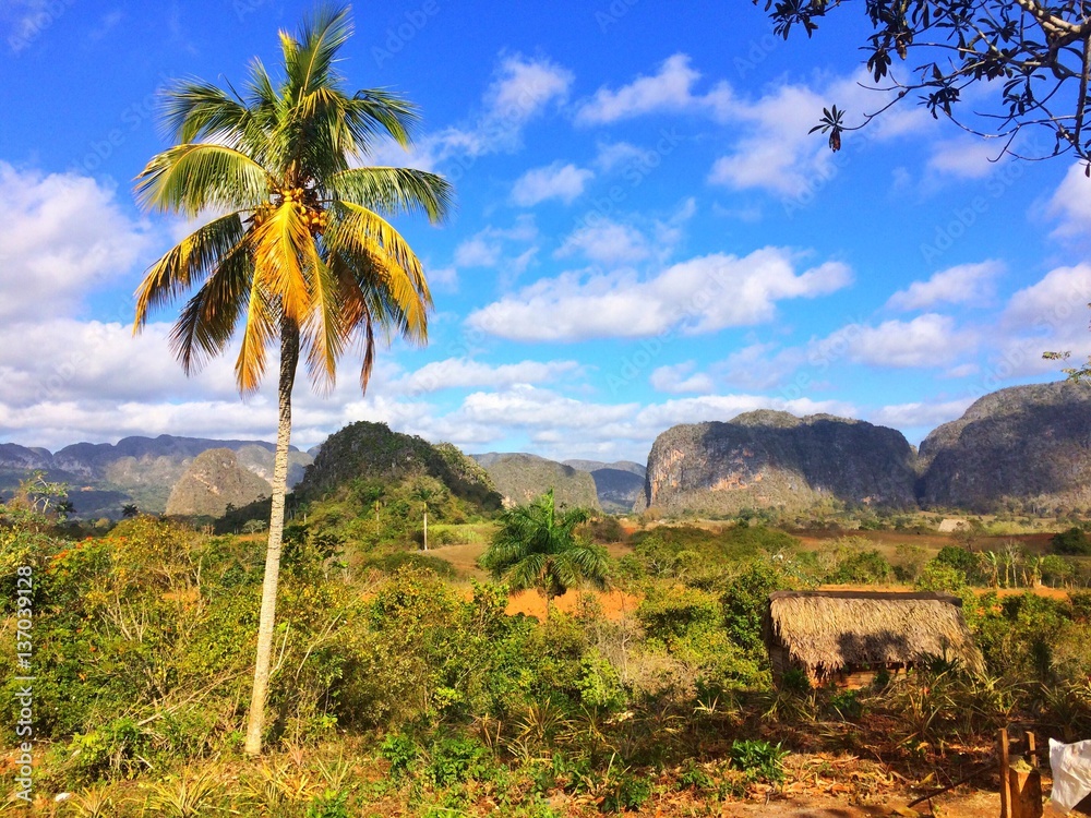 Famous tobacco area in Cuba,Valley de Vinales,Pinar del Rio