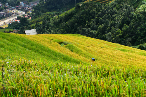 Beautiful landscape rice fields on terraced of Mu Cang Chai