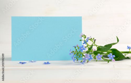 Me-nots flowers and paper card on white wooden shabby board. photo