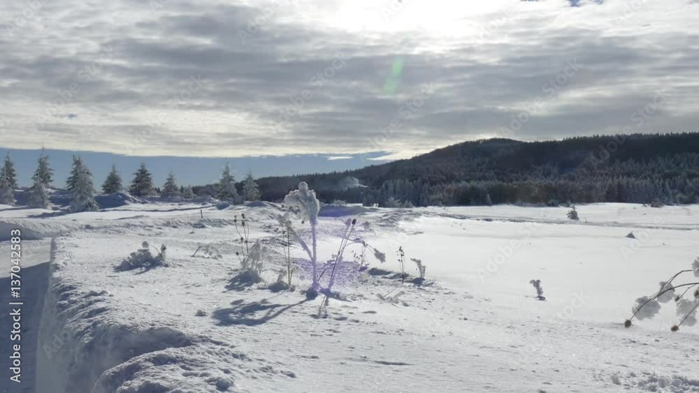 Winter mountain resort Uzana Bulgaria. Winter mountain resort Uzana Bulgaria.