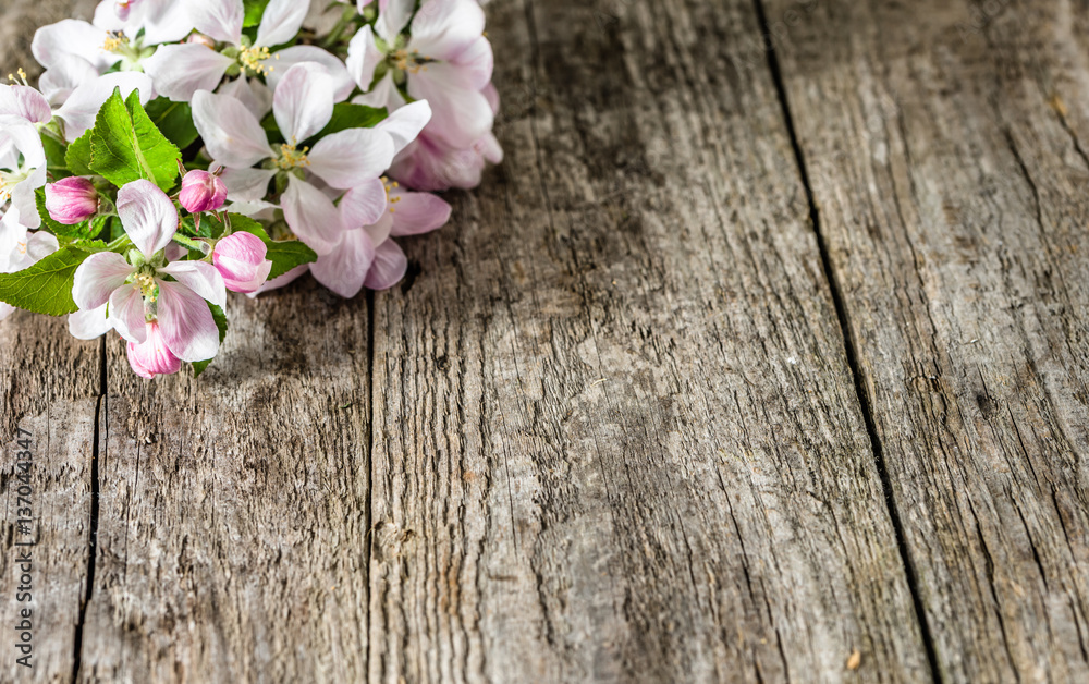Apple flowers, spring blossoming branch on rustic background Apple flowers, spring blossoming branch on rustic background