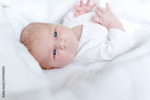 Portrait of cute adorable newborn baby child