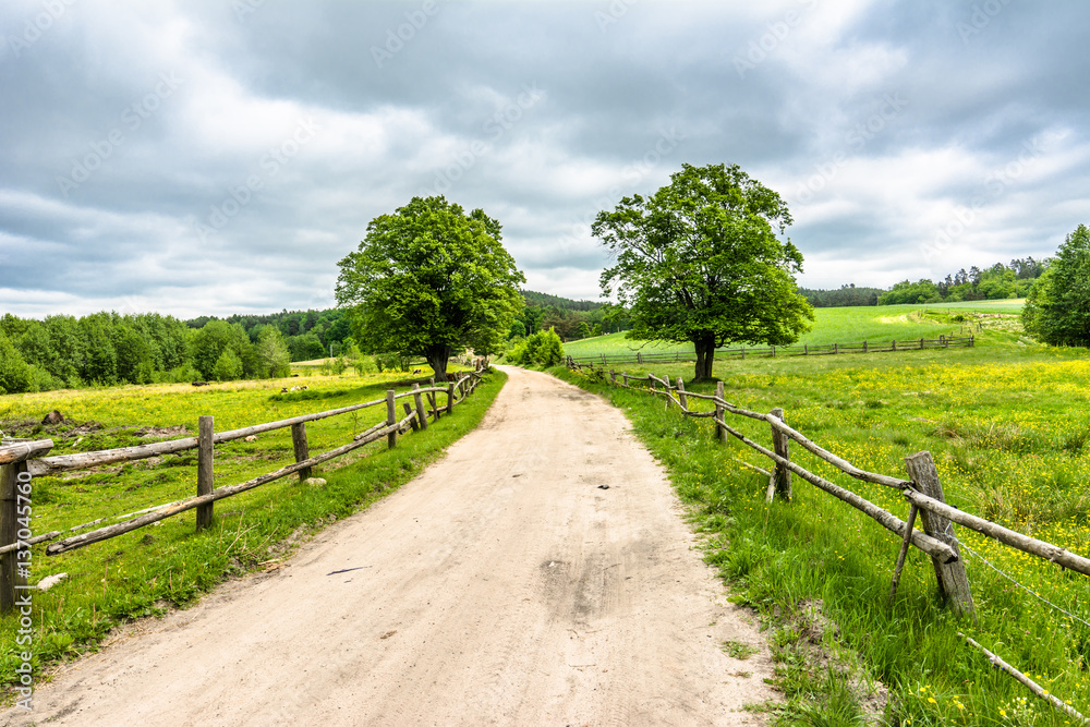 Rural road and green field, spring landscape of countryside