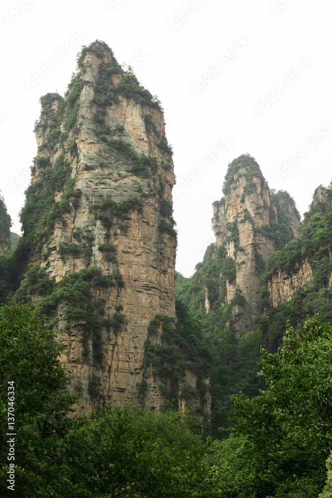 Photo of Huge Rock Mountains Surrounded by Green Trees. Epic Mountain Landscape