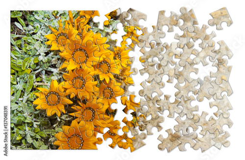 Spring concept in puzzle shape photo