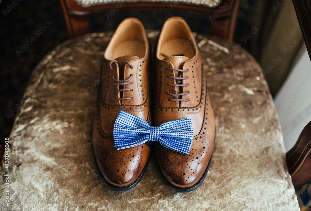 Shoes and butterfly for groom