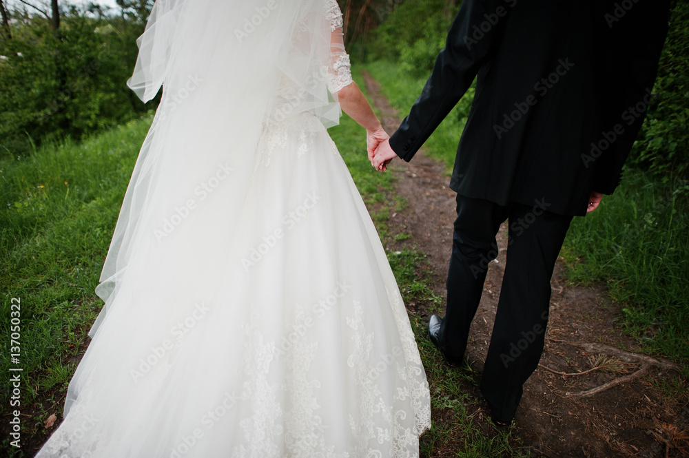 Walking newlyweds holding hand at park at their wedding day. Walking newlyweds holding hand at park at their wedding day.