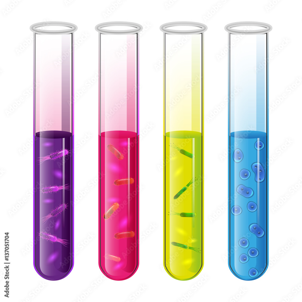Test tubes set with liquid and bacteria cell and pylori. Vector Test tubes set with liquid and bacteria cell and pylori. Vector