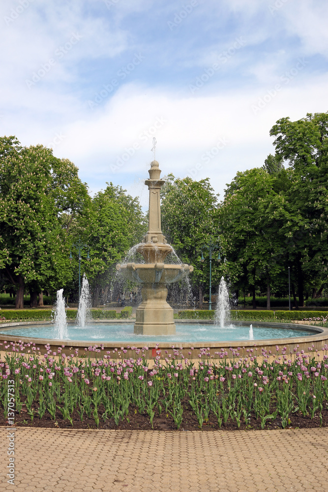 park with fountain and tulip flowers Eger Hungary