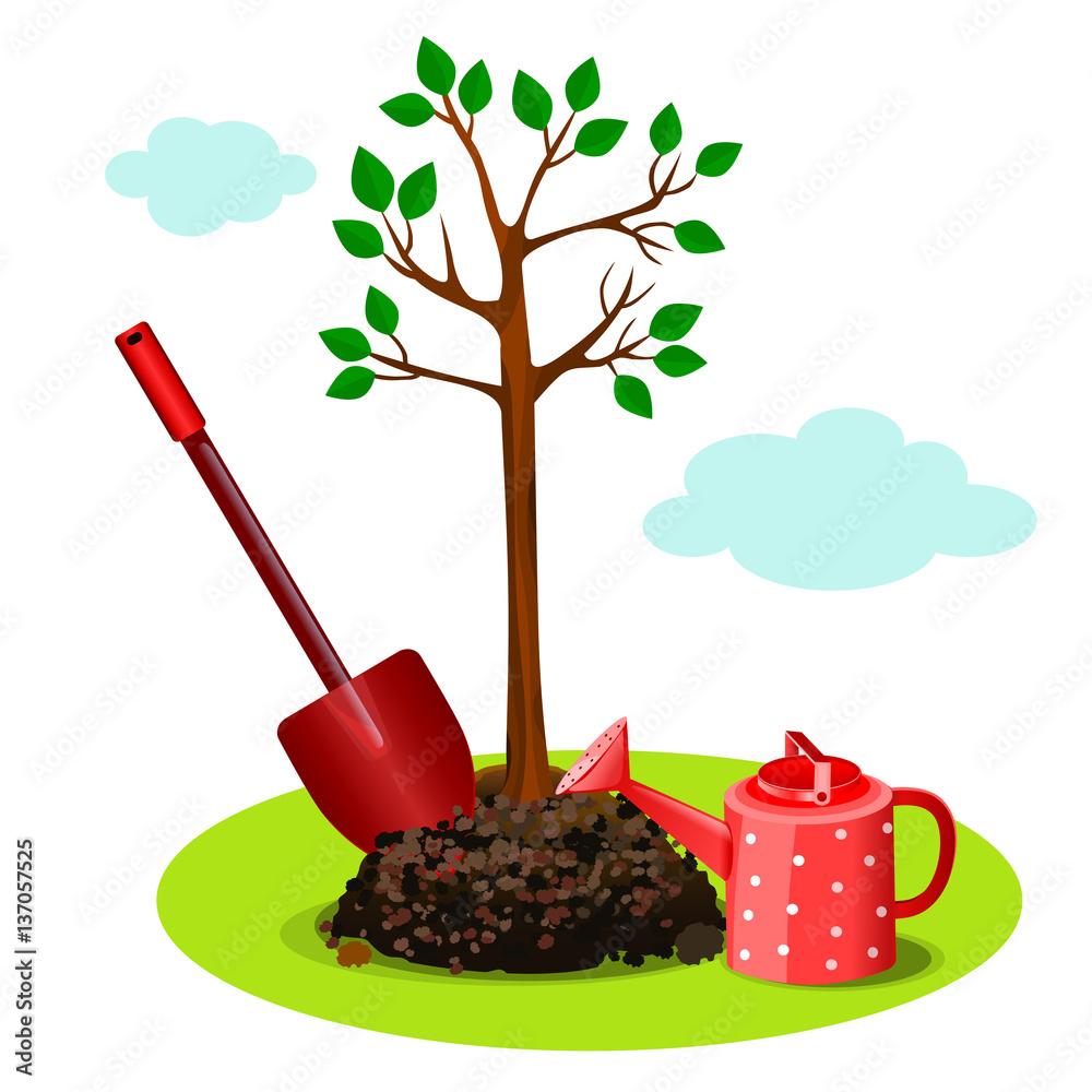 planting a tree in the ground. set garden instrument with tree. Stock ...