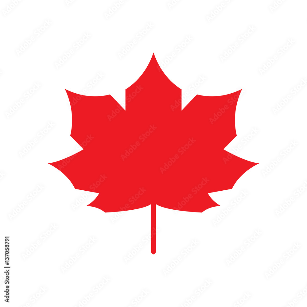 Red Maple Leaf icon Canada symbol Autumn leaves. Vector silhouette isolated Red Maple Leaf icon Canada symbol Autumn leaves. Vector silhouette isolated
