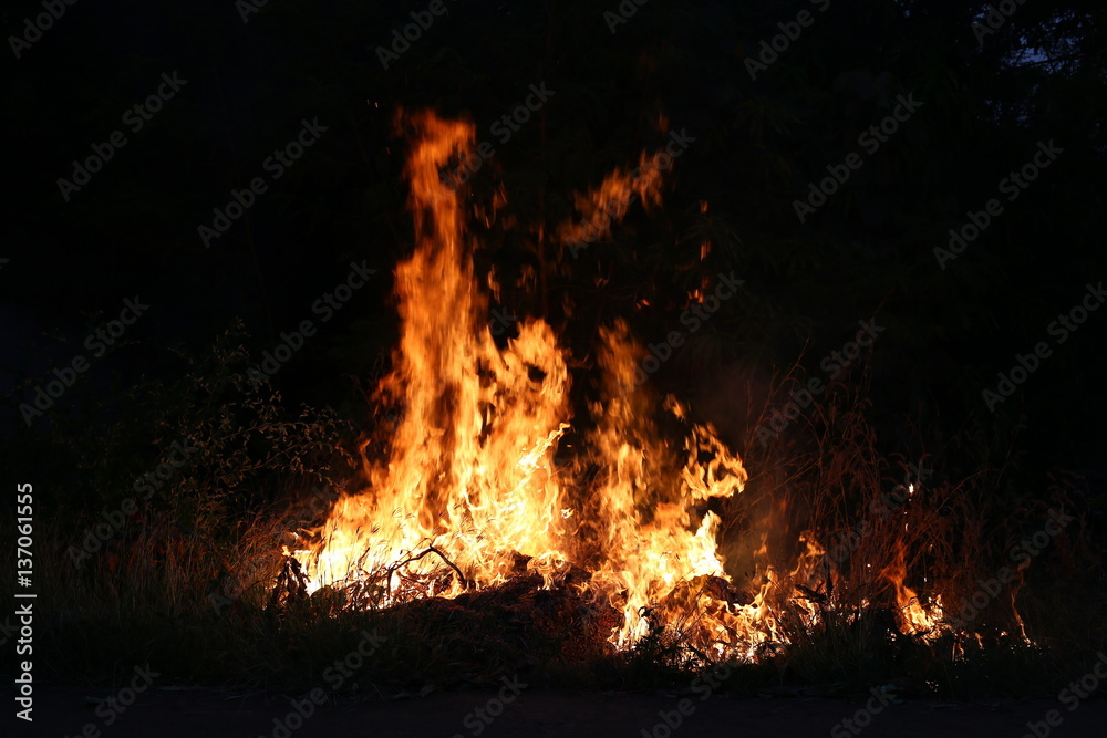 Fire flames burning grass on a black background
