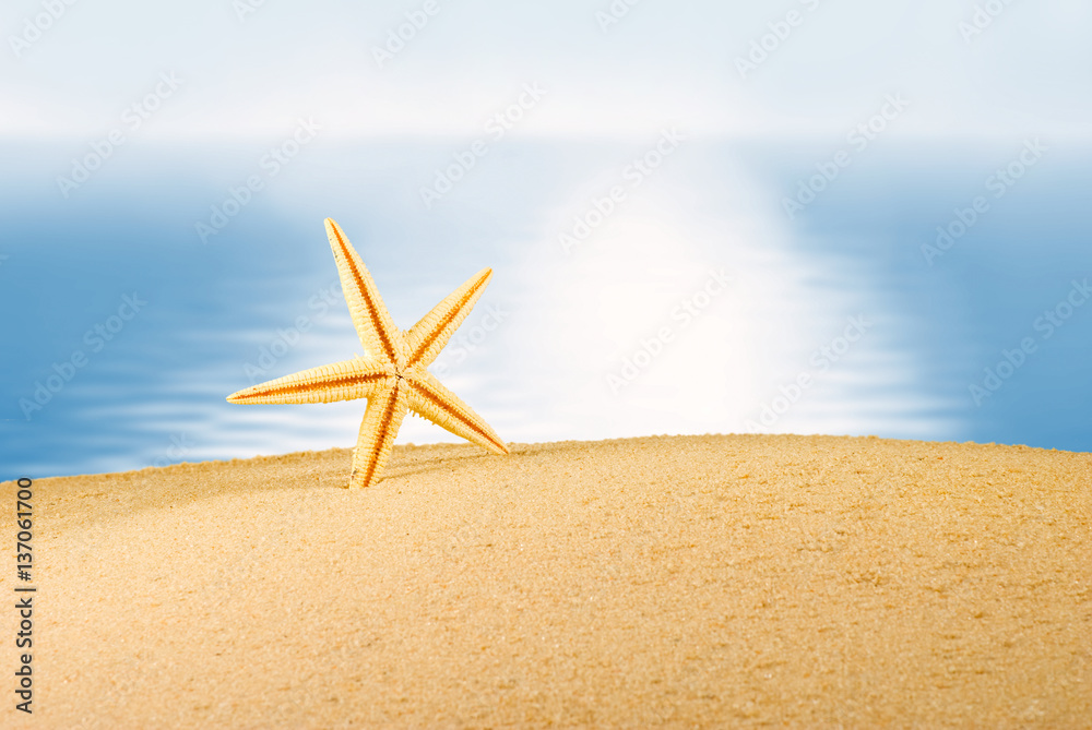 image of seashell in the sand against the sea, image of seashell in the sand against the sea,