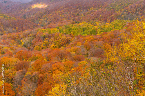 Autumn landscape in mountain