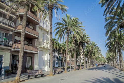 Seaside promenade in Badalona surrounded by palm trees under blue skies, Barcelona, Spain