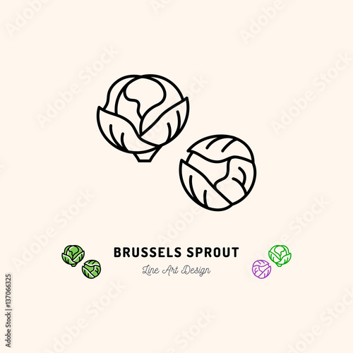 Brussel sprouts icon, Vegetables logo Cabbage. Thin line art design, Vector outline illustration