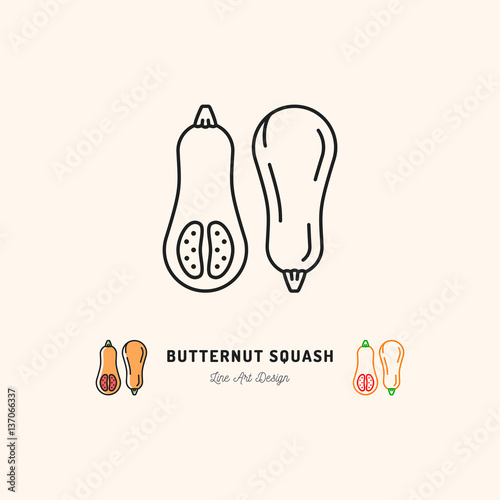 Butternut Squash icon Vegetables logo. Thin line art design, Vector outline illustration