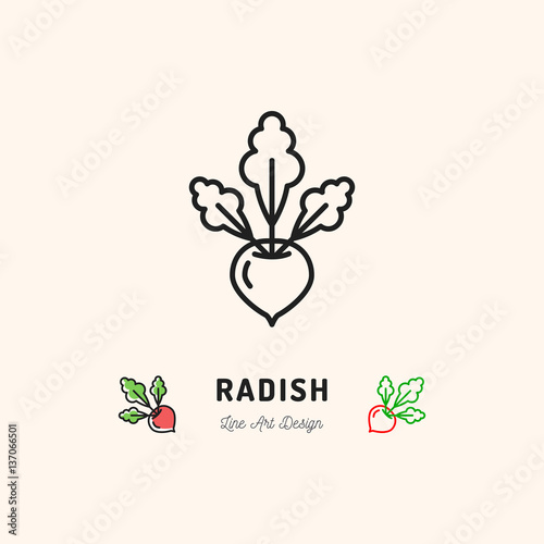 Radish icon Vegetables logo. Thin line art design, Vector outline illustration