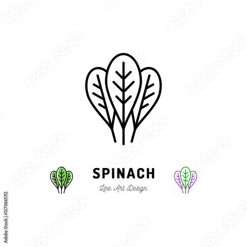 Spinach leaves icon Vegetables logo Spice. Thin line art design, Vector outline illustration