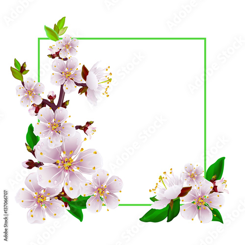 Hello spring